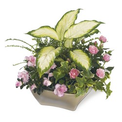 Garden of Grace Planter from Visser's Florist and Greenhouses in Anaheim, CA